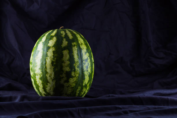 Watermelon on black cloth. Whole watermelon on dark background. Healthy food for vegan. Copy space