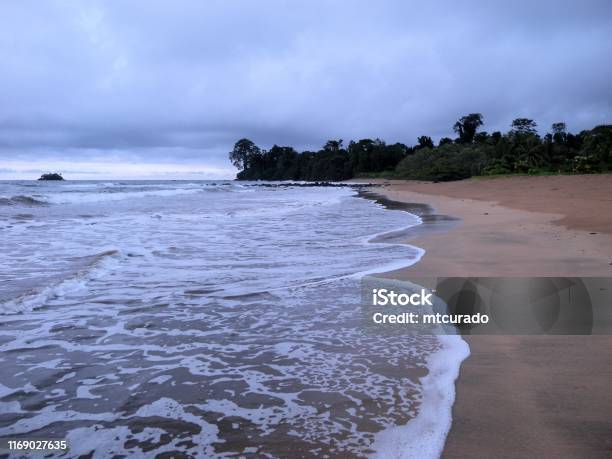 Arena Blanca Beach Luba Equatorial Guinea Stock Photo - Download Image Now - Beach, Bioko Island, Ceiba Tree