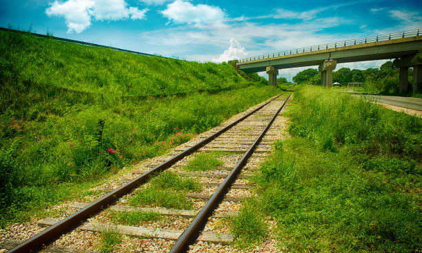 istock Railway Line in the Caribbean 1169027826