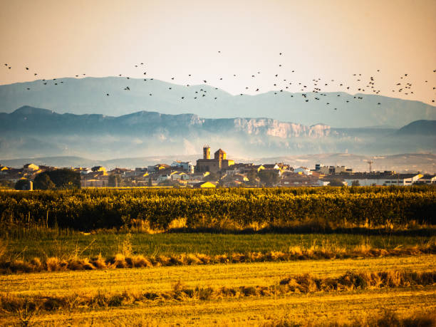 sonnenaufgang mit blick aus der ferne auf eine kleine stadt pla d'urgell, golmes, in lleida. spanien - katalonien landschaft stock-fotos und bilder