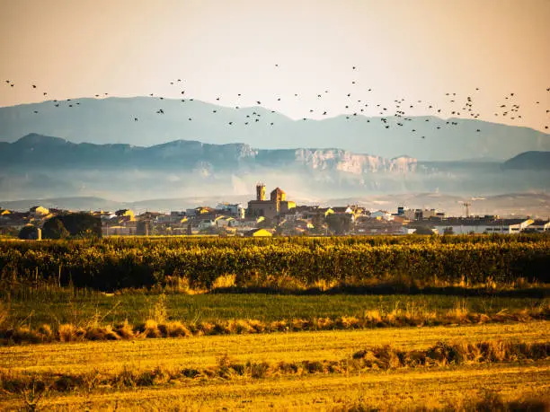Sunrise with a view from afar of a small town of Pla d'Urgell, Golmes, in Lleida., With flying birds and the Montroig mountains. Catalonia, Spain