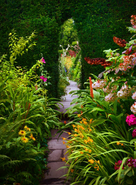 Secret Garden Stock Photo - Download Image Now - Yard - Grounds, Flower,  Mystery - iStock