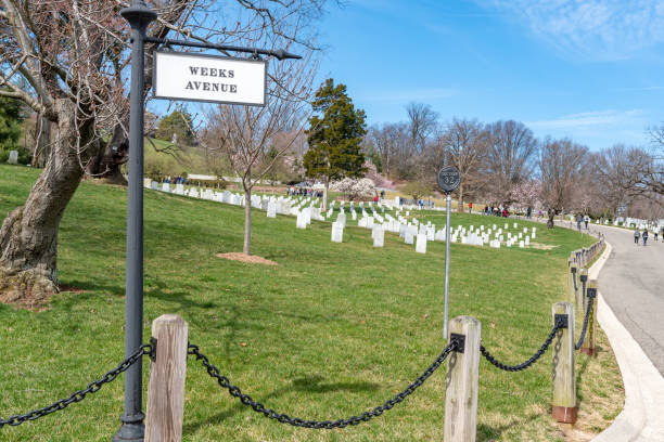 Arlington National Cemetary during national cherry blossom festival in USA Arlington National Cemetery gravesite honoring the fallen in wars fought by Americans. arlington cemetery in spring stock pictures, royalty-free photos & images