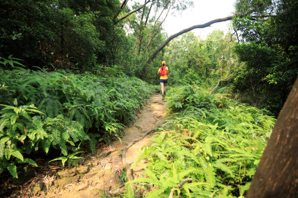 istock Ultramarathon runner running in tropical rainforest 1169033229