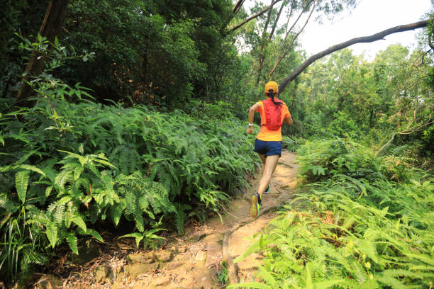 istock Ultramarathon runner running in tropical rainforest 1169034772