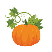 istock Flat Design Pumpkin 1169037354
