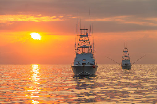 Gameboats on anchor on the Great Barrier Reef at sunrise during the marlin season.