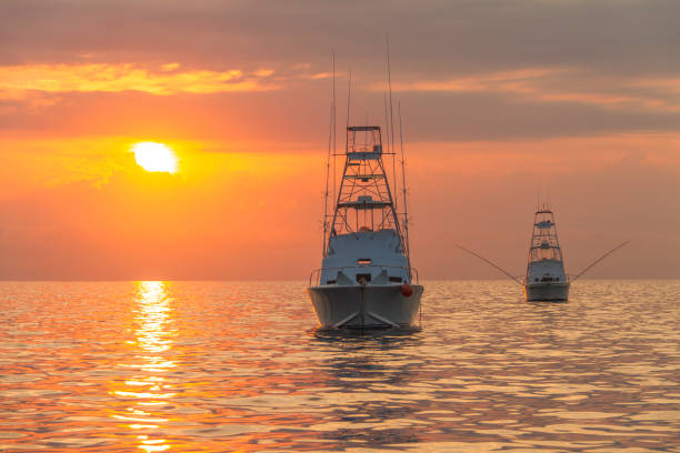 Gameboats on anchor on the GBR Gameboats on anchor on the Great Barrier Reef at sunrise during the marlin season. big game fishing stock pictures, royalty-free photos & images