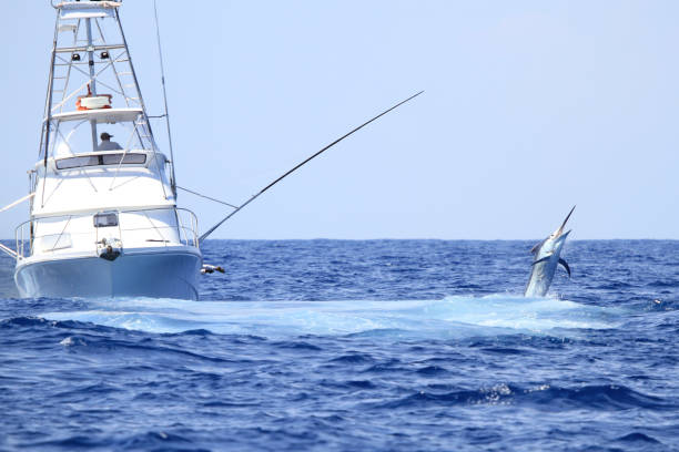 barco de pesca de caza luchando contra un marlin - saltwater fishing fotografías e imágenes de stock