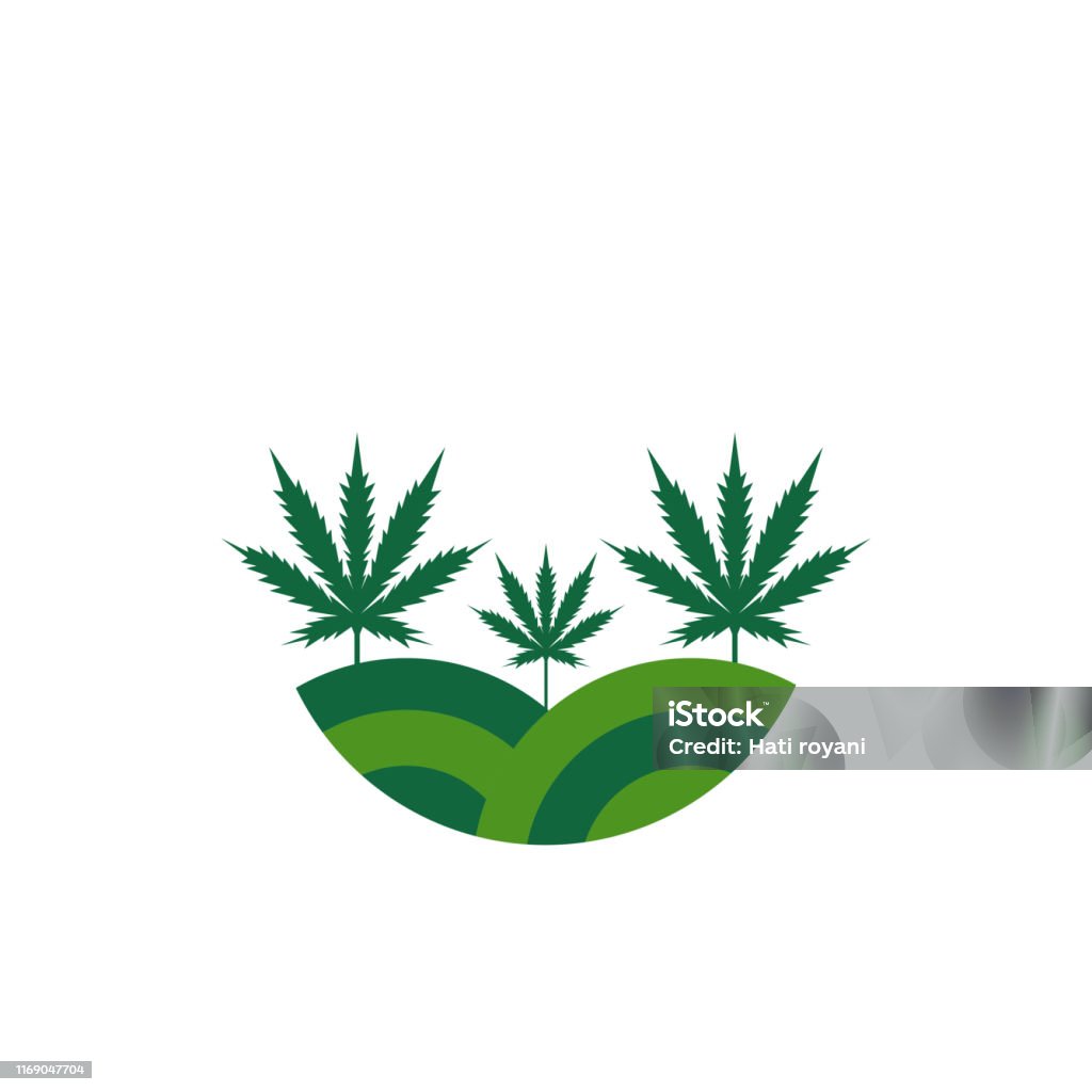 Hình Bóng Của Pot Cannabis Cần Sa Lá Cây Gai Dầu Logo Hình minh ...