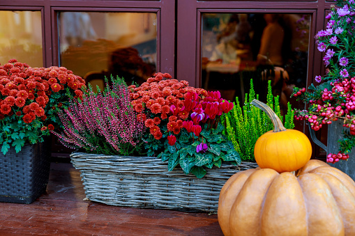 Wooden Front porch decorated for Fall.