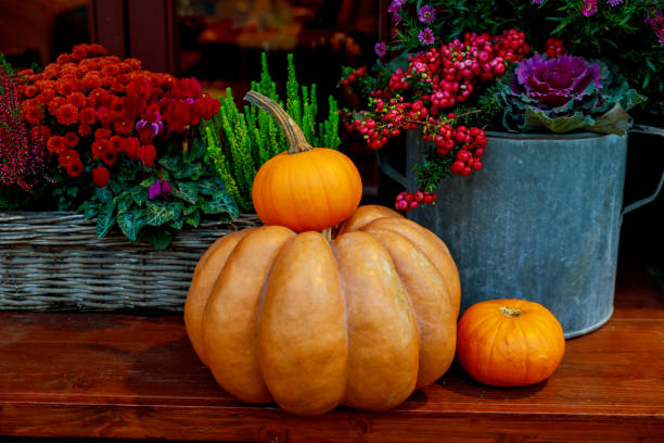 istock Flowers and pumpkins decoration for Thanksgiving. 1169048689
