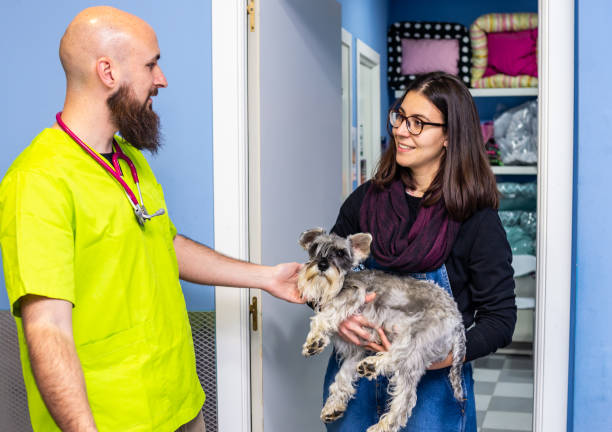 istock Veterinarian receiving a client 1169050599