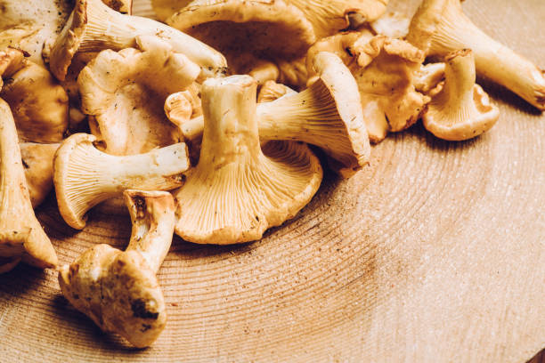 istock Wild chanterelles mushrooms on the rustic wooden background 1169062146