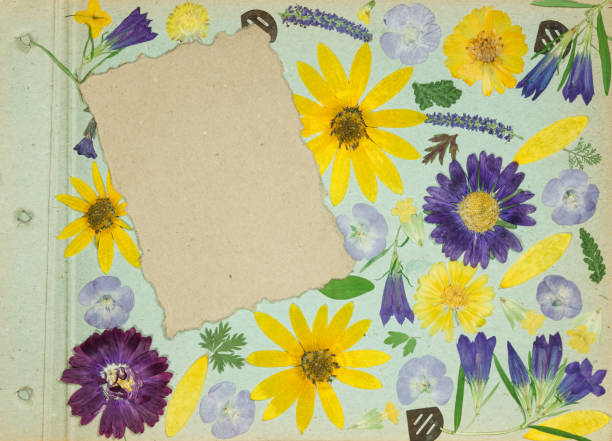 istock Page from old photo album, scrapbooking element. 1169062216