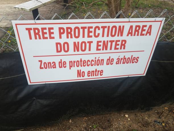 istock tree protection area do not enter sign with spanish on fence 1169064869