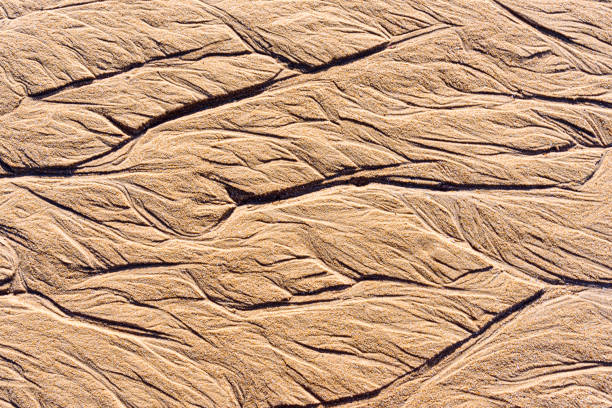 Close up of pebbles on sand