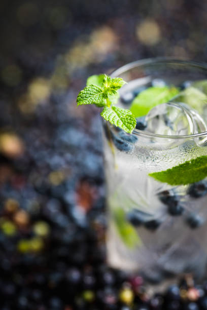 istock Blueberry mojito cocktail 1169071433