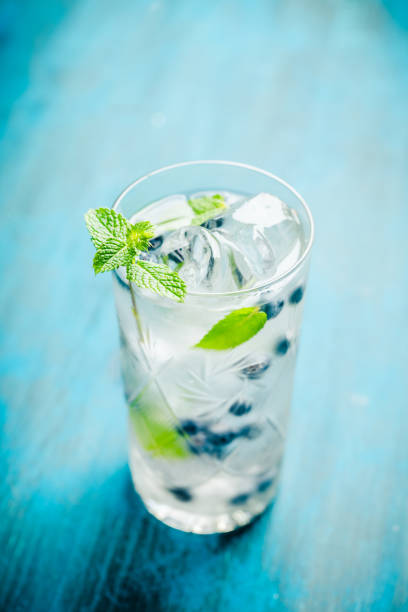istock Blueberry mojito cocktail 1169071442