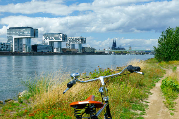 istock Bicycle tour through the Poller Meadows 1169075026