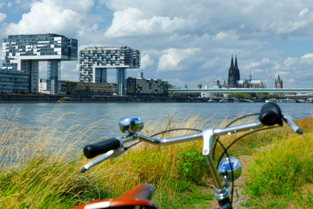 istock Bicycle tour through the Poller Meadows 1169075338