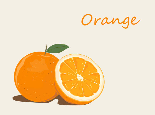 ilustrações de stock, clip art, desenhos animados e ícones de the fressness orange vector. - fressness