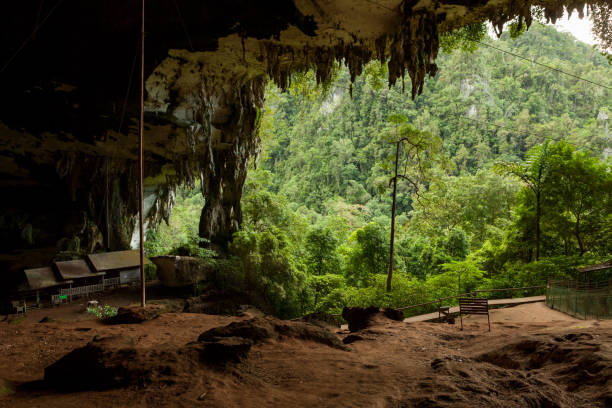 istock Cave in niah national park 1169077341