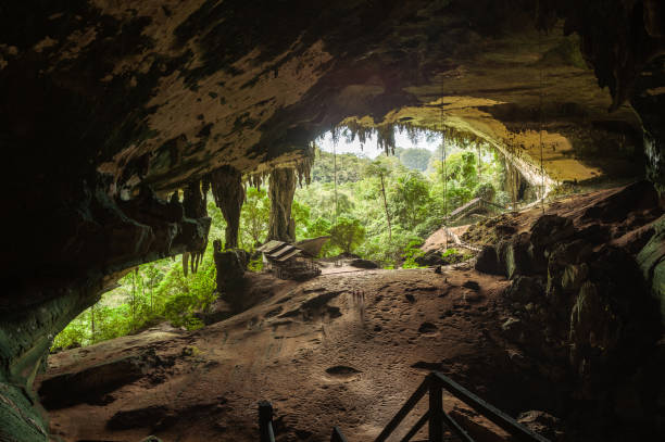 istock Cave in niah national park 1169077346
