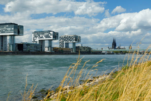 istock Rheinauhafen and Cologne Cathedral 1169080312