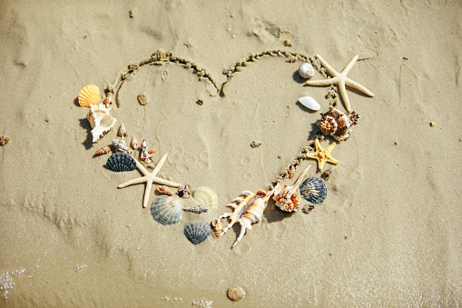 Sea shells on sand in heart shape outdoors