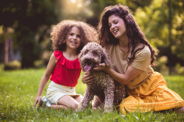 istock He is our best friend. 1169083328