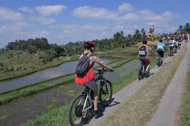Biking tour to rice field in Jatiluwih rice terraces in Bali Indonesia Bali, Indonesia - July 28 2019:Biking tour to rice field in Jatiluwih rice terraces in Bali Indonesia.In 2002 environmental group formed to protect Bali's ecosystems while continuing to grow the tourism trade. jatiluwih rice terraces stock pictures, royalty-free photos & images