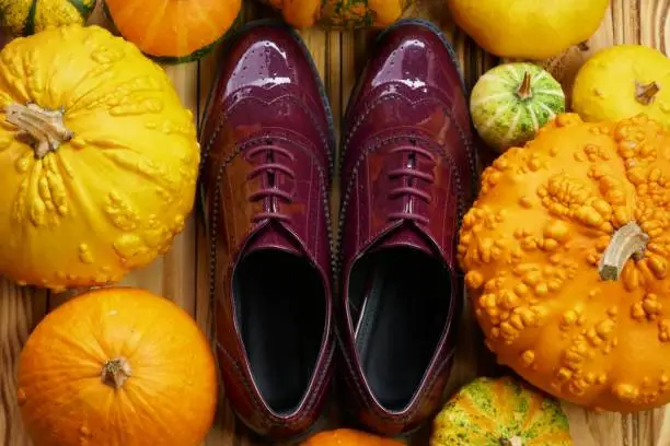 Oxfords shoes and pumpkins. Autumn fashionable shoes. Leather patent shoes in a frame of pumpkin.Autumn sale of shoes. Fall time