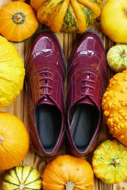 Oxfords shoes and pumpkins. Autumn fashionable shoes. Leather patent shoes in a frame of pumpkin.Autumn sale of shoes.