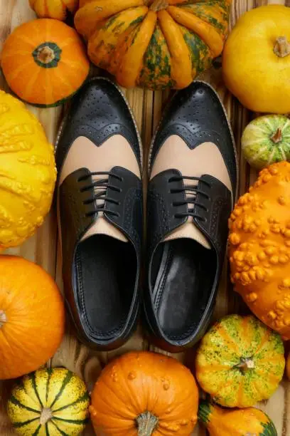 Oxfords shoes and pumpkins. Autumn fashionable shoes. Leather shoes in a frame of pumpkin.Autumn sale of shoes. Fall time