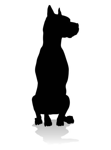ilustraciones, imágenes clip art, dibujos animados e iconos de stock de perro silueta animal mascota - american staffordshire terrier bull terrier terrier purebred dog
