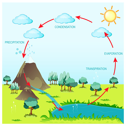 cycle water in nature environment. The sun, which drives the water cycle, heats water in oceans and seas. Water evaporates as water vapor into the air. Vector diagram