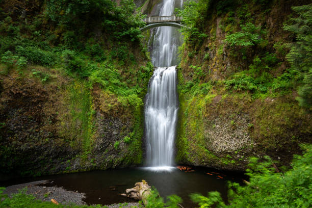 istock Multnomah Falls in Columbia River Gorge, Oregon, USA 1169091175