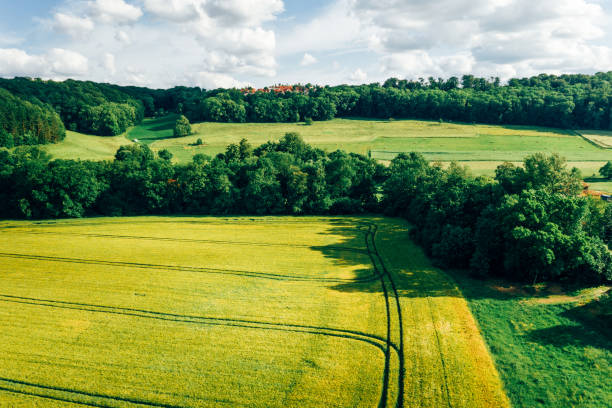 istock Countryside landscape with canola and green fields 1169092834