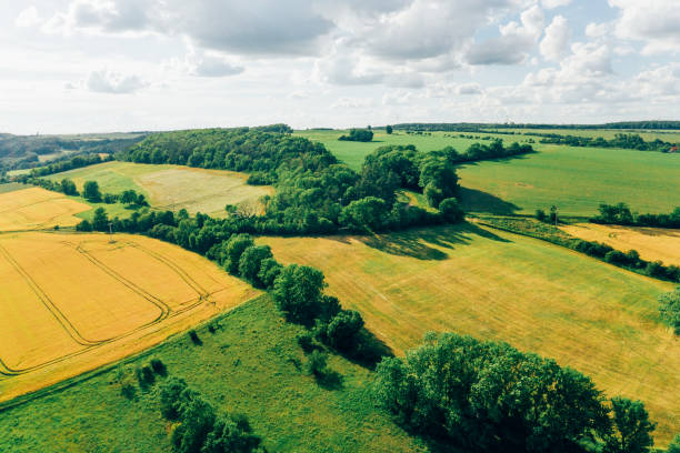 istock Countryside landscape with canola and green fields 1169093285