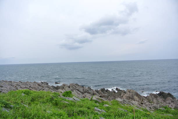 istock Andesite on the coast 1169093557