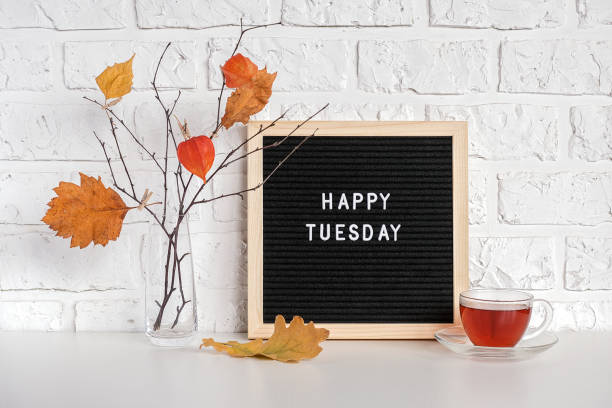 happy tuesday text auf schwarzem brief tafel und strauß von zweigen mit gelben blättern auf wäscheklammern in vase auf tisch vorlage für postkarte, grußkarte konzept hallo herbst dienstag - today blackboard text letter stock-fotos und bilder