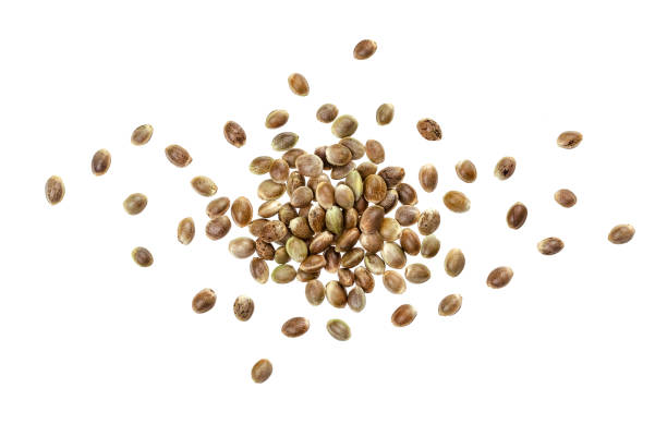 Hemp seeds isolated on white background with clipping path, heap of cannabis seeds, close up, top view