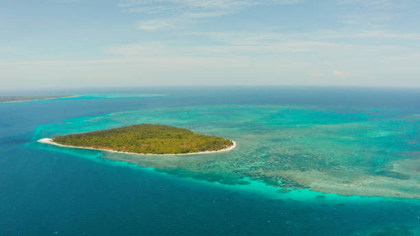 istock Tropical island with sandy beach. Balabac, Palawan, Philippines 1169101371