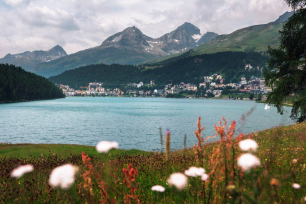 City of St. Moritz with lake also called St. Moritzsee, flowers in the foreground and Swiss Alps in the background in Engadin, Switzerland.