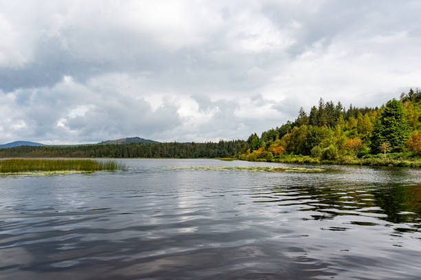 istock Scottish loch on a summer day 1169102582