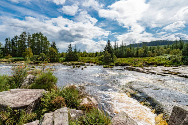 A Scottish river in Dumfries and Galloway on a summer day