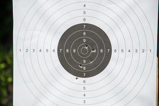 Shooting range target