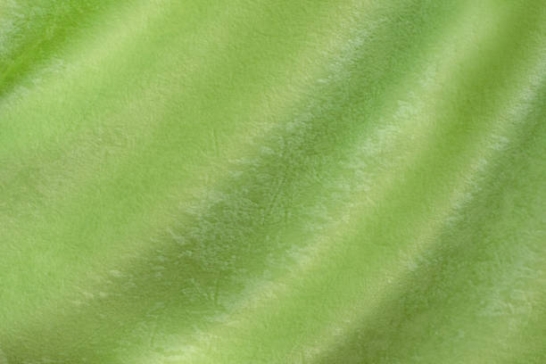 istock bright green colored Background of soft draped fabric 1169106117