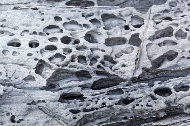 istock Surface of a weathered grey metamorphic rock 1169111048